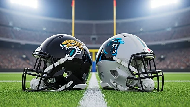 NFL Experts Favor Jaguars Over Panthers in Week 1 Predictions