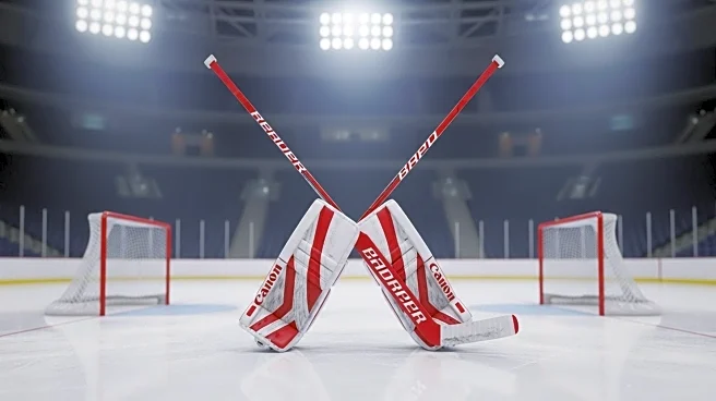 Detroit Red Wings Struggle for Playoff Respect Amid Goalie Concerns