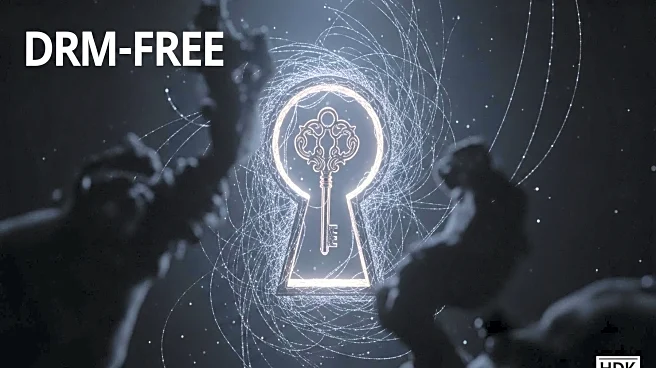 Hollow Knight: Silksong's DRM-Free Release Sparks Unusual Pirate Support