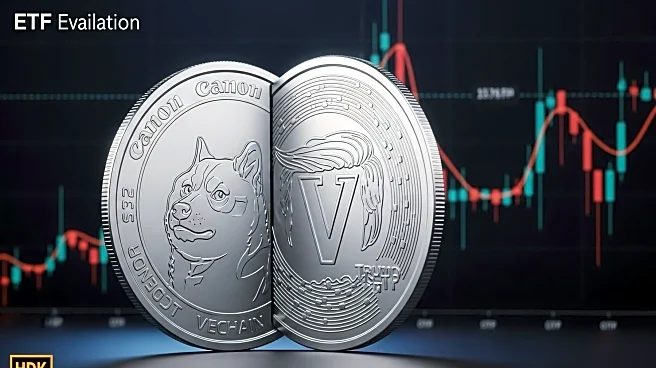 Meme Coins 2.0: Evaluating Dogecoin, VeChain, and Trump-themed ETFs