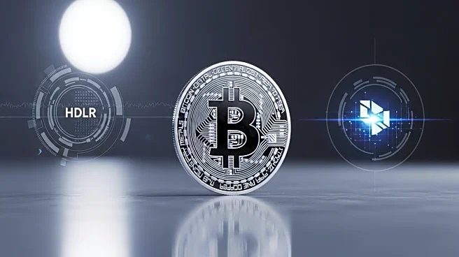 Anthony Scaramucci's Bitcoin Advocacy Spurs Institutional Adoption