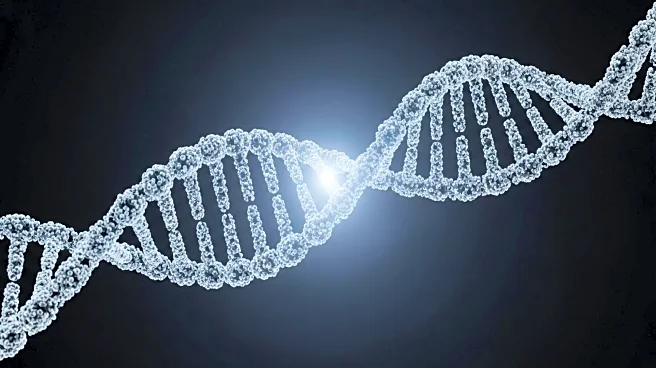 Artelo Biosciences Raises $3 Million Through Public Offering