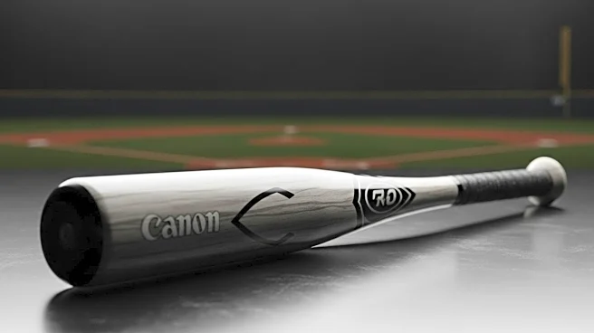 MLB Confiscates Bat Used by Astros Outfielder After Yankees Manager's Inquiry