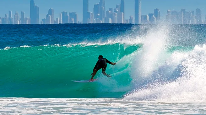 Suspected Shark Attack Claims Life of Surfer in Sydney
