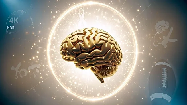 NFL Players and Fans Heighten Awareness of CTE Amidst New Research Efforts