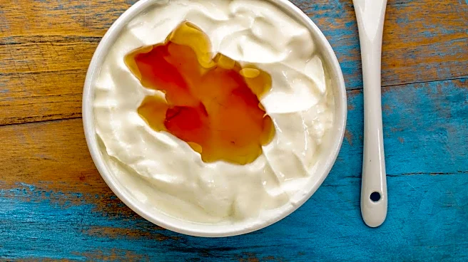Dietitians Recommend Greek Yogurt as Effective High-Protein Snack for Weight Loss