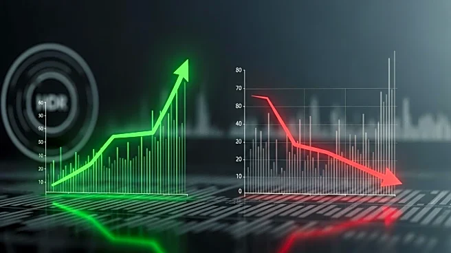 Netwealth and Mineral Resources Share Prices Show Diverging Trends in 2025