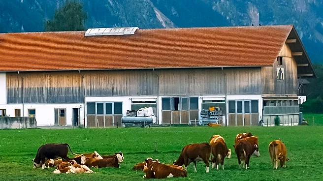 Farm Stays in Europe Offer Local Food and Countryside Experiences