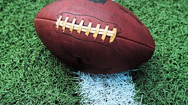 NFL Sunday Returns: Pensacola's Top Spots to Watch the Games