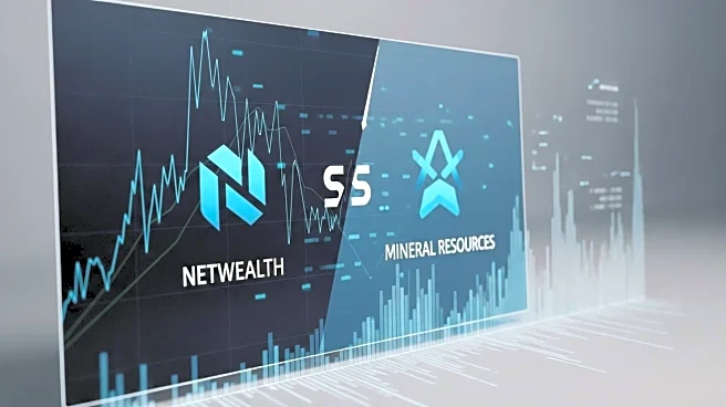 Netwealth and Mineral Resources Shares Show Divergent Trends in 2025