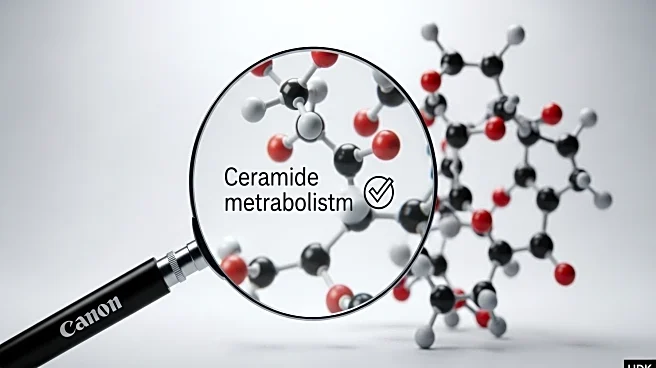 Research Team Corrects Errors in Study on Ceramides Metabolism and Cancer Metastasis