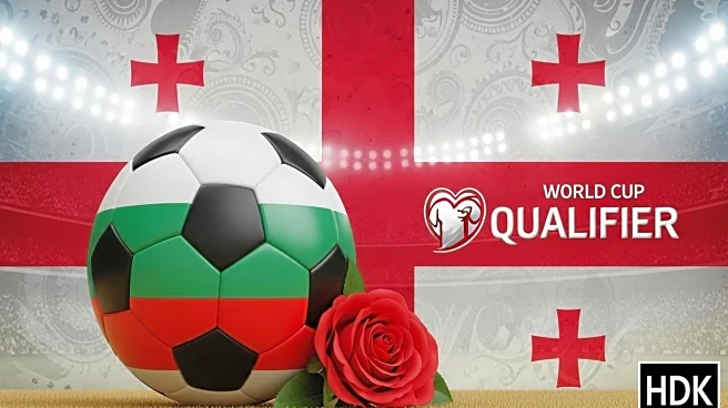 Georgia Hosts Bulgaria in World Cup Qualifier with High Stakes