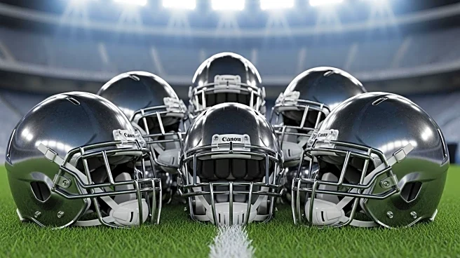 NFL Season Kicks Off with Team Naming Challenge