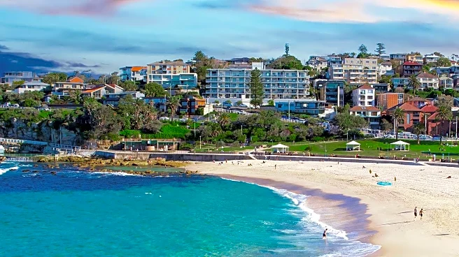 Sydney Beach Implements Aerial Surveillance Following Shark Attack