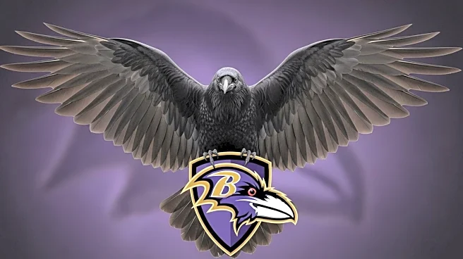 Angel Reese Declares NFL Allegiance, Supports Baltimore Ravens
