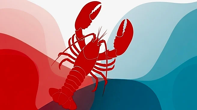 Red Lobster CEO Damola Adamolekun Credits Black America for Brand Revival