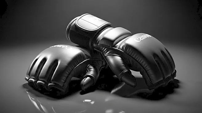UFC Paris: Nassourdine Imavov's Victory Raises Questions About Title Fight Prospects