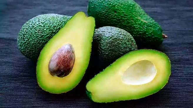 Study Reveals Keto Diet May Accelerate Aging Differently in Males and Females