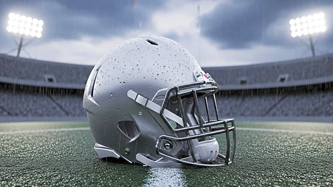 Patriots Fans Remain Optimistic Despite Soggy Season Opener Loss