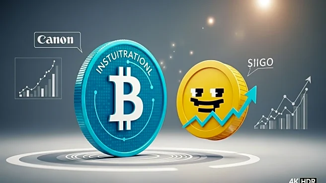 Solana's Institutional Growth Contrasts with Layer Brett's Meme Coin Surge