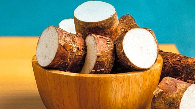 Calcium-Rich Snacks Offer Alternatives to Yogurt for Bone Health