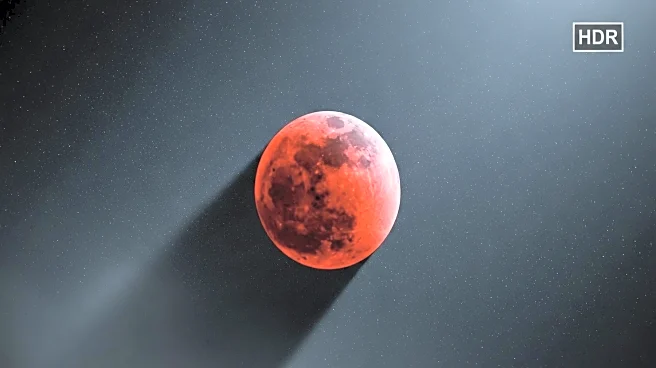 USA Today Features Stunning Images of Blood Moon During Total Lunar Eclipse