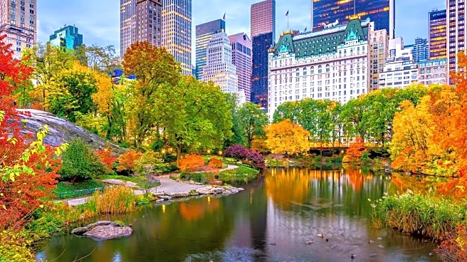 New York Museums Revive with Major Fall Exhibitions