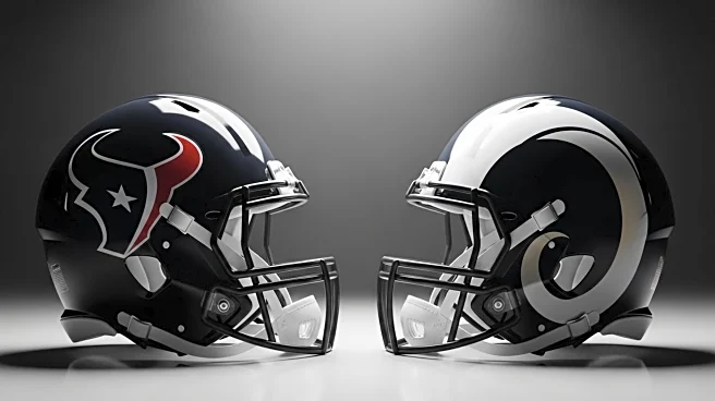Houston Texans Fall to Los Angeles Rams in Defensive Battle with Late Turnover