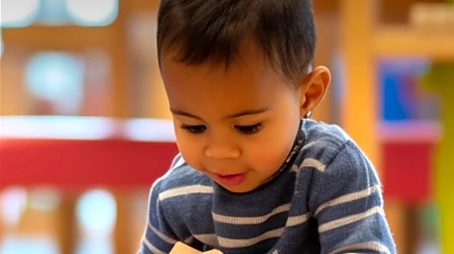 Consumer Reports Raises Concerns Over Toddler Tower Safety
