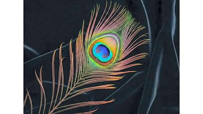 Peacock Showcases Diverse Lineup Amid Price Increase