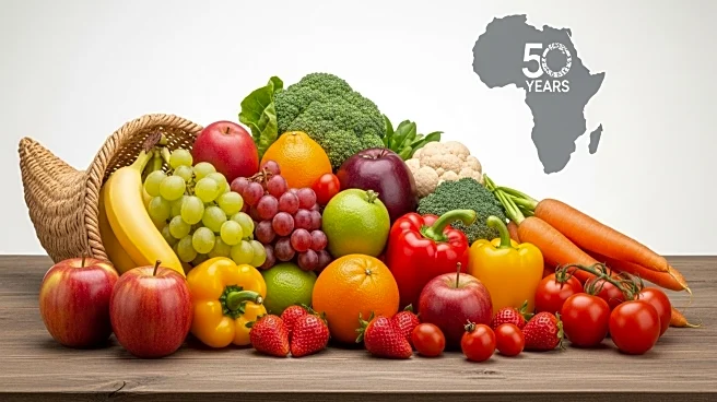 IFPRI Celebrates 50 Years of Impact on African Food Policies