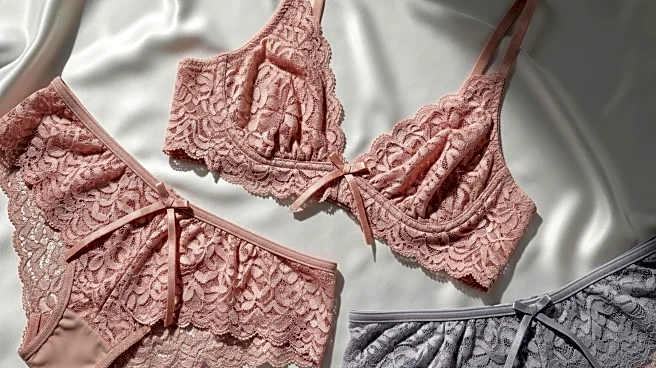 Victoria's Secret Appoints New Leadership at Adore Me Amid Industry Challenges