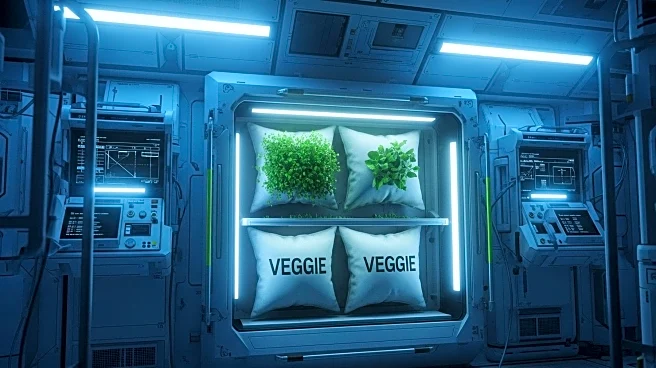 NASA Astronauts Initiate Space Agriculture Study with Seed Pillows in 'Veggie'