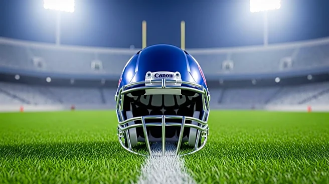 Florida Gators' Brendan Bett to Apologize for Spitting Incident During USF Game