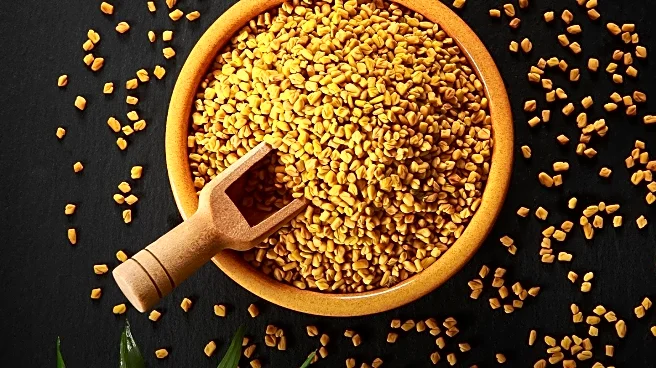 Ear Seeds: Ancient Remedy Gains Popularity for Stress and Pain Relief