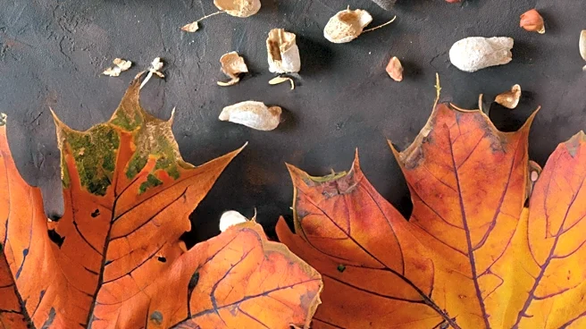America's Test Kitchen Offers Seasonal Recipe to Ease Transition from Summer to Fall
