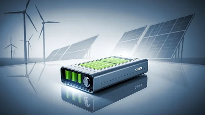 Trump's Energy Department Criticizes Wind and Solar, Elon Musk Highlights Battery Solutions