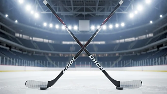St. Louis Blues Aim to Stay Competitive in Upcoming NHL Season