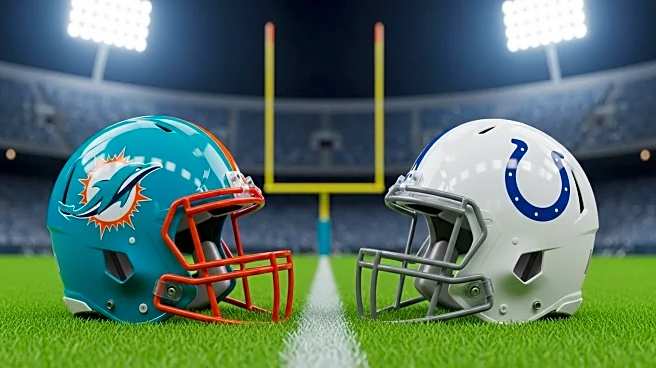 Julian Hill Scores First NFL Points in Dolphins' Loss to Colts
