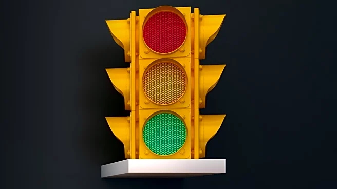 Viral Video Sparks Debate on Traffic Light Etiquette and Road Rage