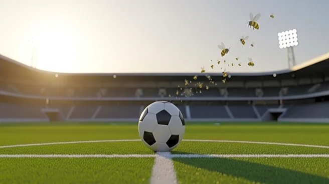 Weekend Football Highlights: From Bee Invasions to Debut Goals
