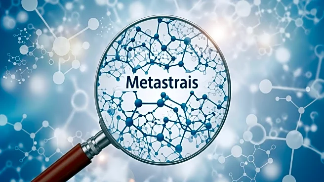 Fred Hutchinson Cancer Center Launches Faculty Search to Advance Metastasis Research