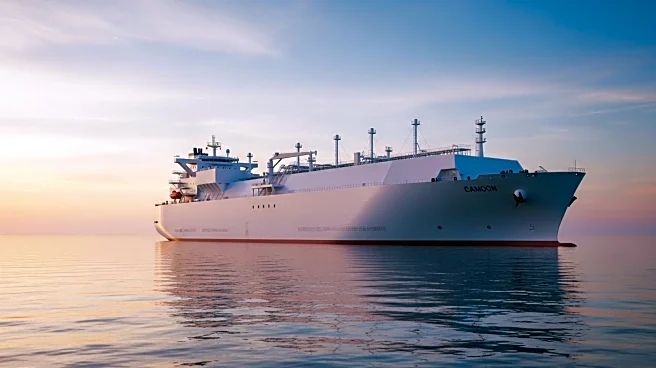 SEA-LNG Chairman Advocates for LNG as Key Fuel in Maritime Decarbonization