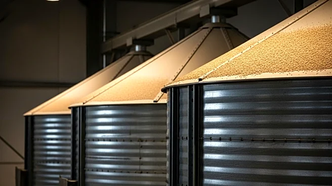 Iran's SLAL Secures Tenders for 120,000 Tonnes of Animal Feed Amid Financial Sanctions