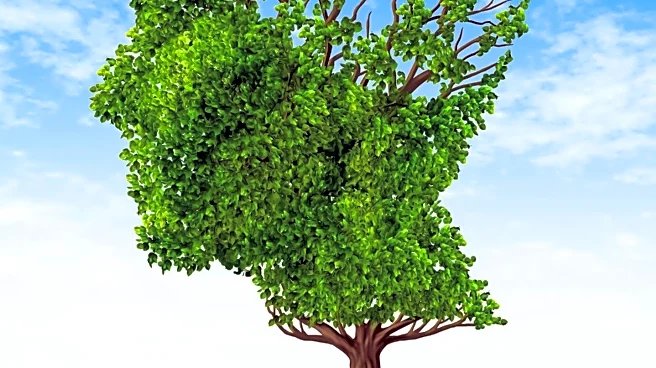 FDA Approves Phase II Study for Alzheimer's Vaccine Candidate ALZ-101