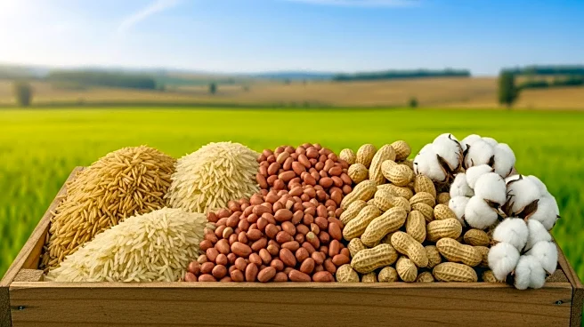 Farm Bill Increases Subsidies for Rice, Peanuts, and Cotton