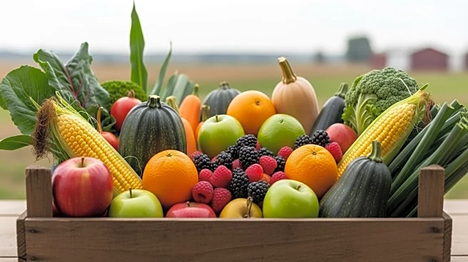 USDA Reports Mixed Crop Conditions as Harvest Begins