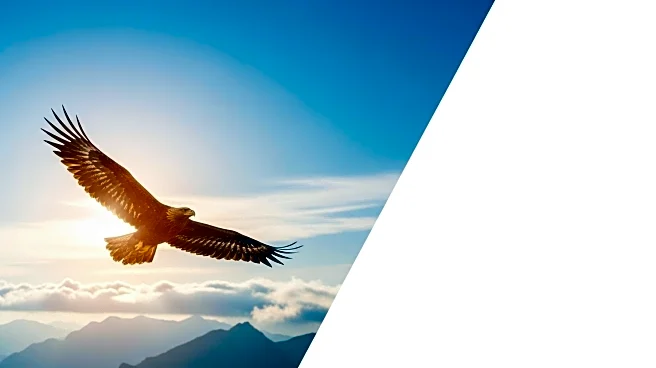 Agnico Eagle Sells Stake in Orla Mining, Shifts Focus to Strategic Priorities