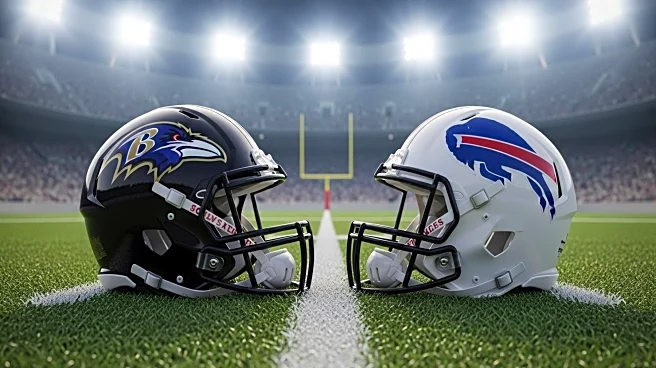 Buffalo Bills Fan Banned for Shoving Ravens' Lamar Jackson and DeAndre Hopkins