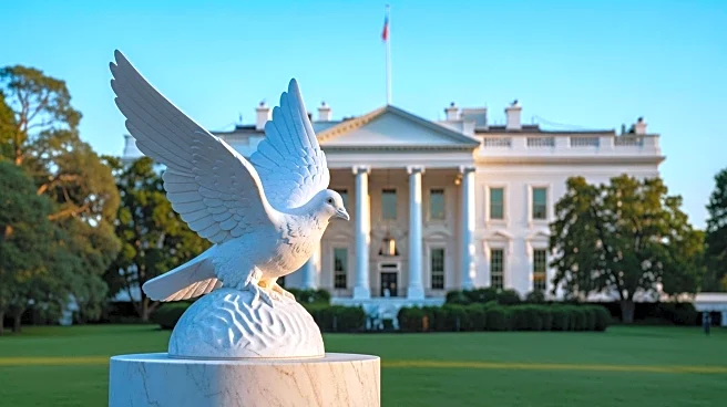 White House Peace Vigil Dismantled Following President Trump's Orders